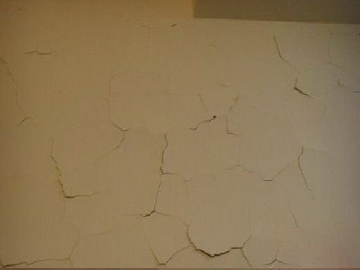 優(yōu)質(zhì)外墻膩子粉選綠舟