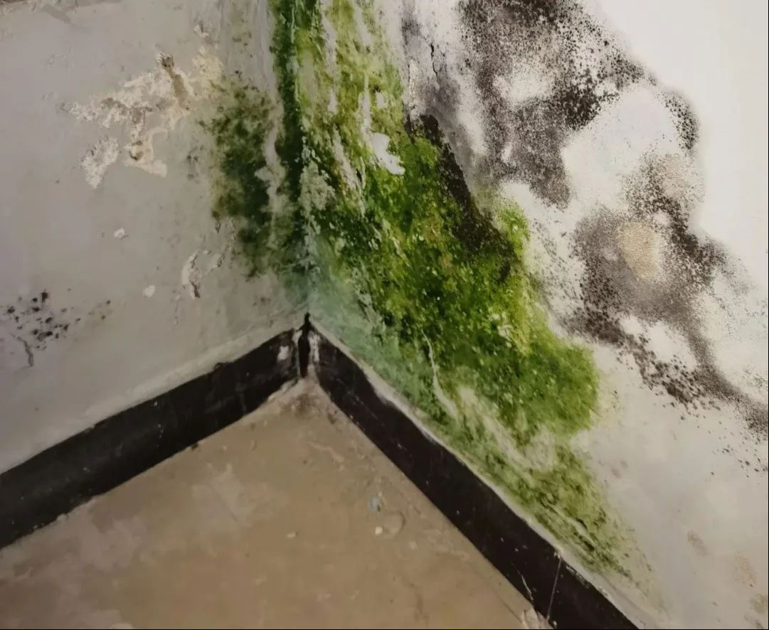 膩?zhàn)臃燮鹌?/></p><p><img src=